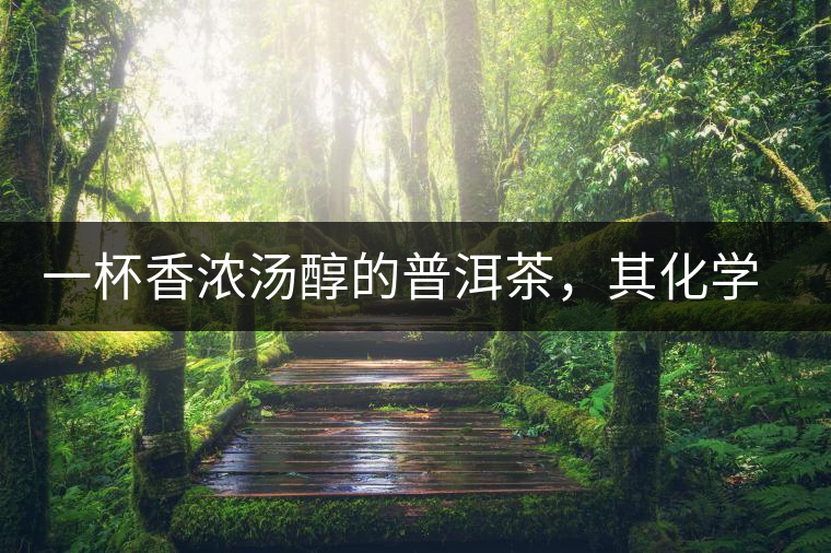 一杯香濃湯醇的普洱茶，其化學(xué)成分是怎樣的？