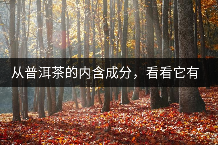 從普洱茶的內(nèi)含成分，看看它有什么功效？