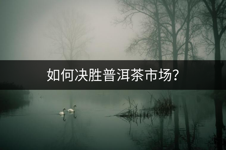 如何決勝普洱茶市場(chǎng)？