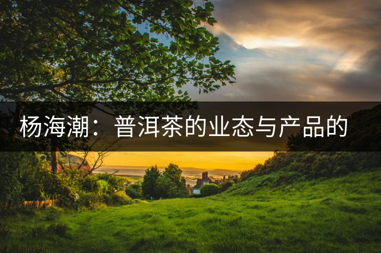 楊海潮:普洱茶的業(yè)態(tài)與產品的同質化 楊海潮:普洱茶的業(yè)態(tài)與產品的同質化