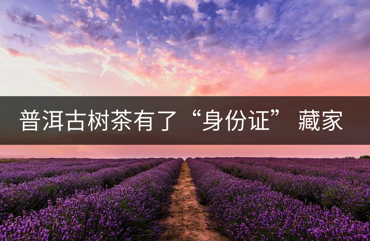 普洱古樹茶有了“身份證” 藏家投資更具保障