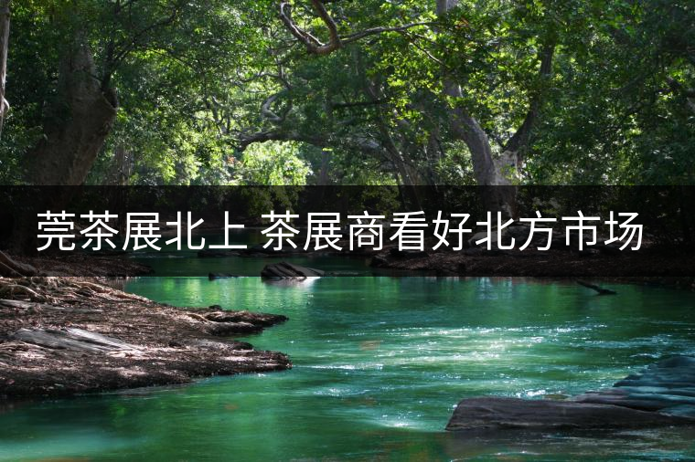莞茶展北上 茶展商看好北方市場！