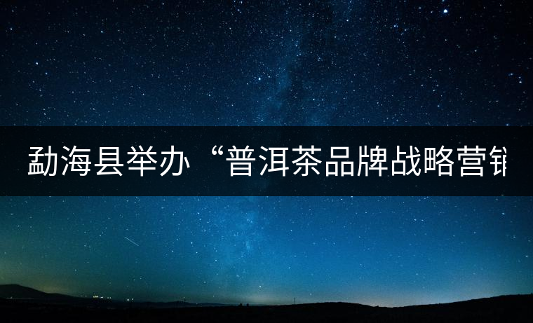 勐?？h舉辦“普洱茶品牌戰(zhàn)略營銷專題講座”