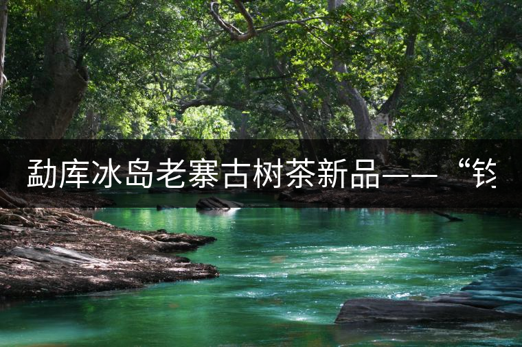 勐庫冰島老寨古樹茶新品——“鈞翔號(hào)”