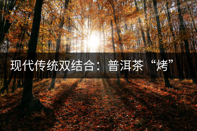 現(xiàn)代傳統(tǒng)雙結(jié)合：普洱茶“烤”上了太陽能