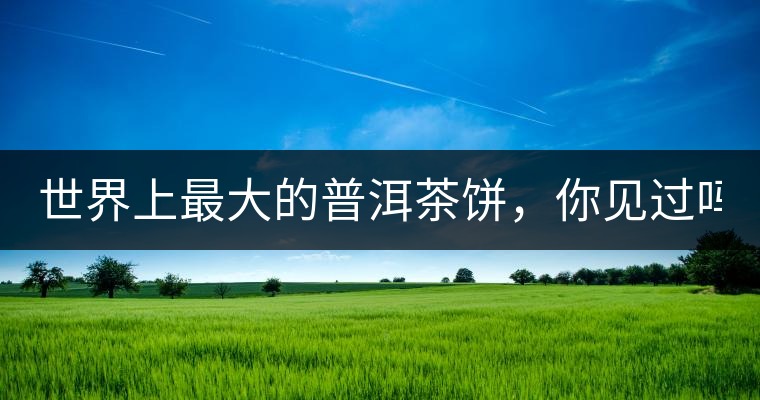 世界上最大的普洱茶餅，你見過嗎？