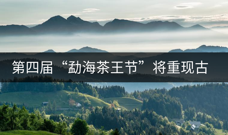 第四屆“勐海茶王節(jié)”將重現古老傳統(tǒng)制茶技藝 第四屆“勐海茶王節(jié)”將重現古老傳統(tǒng)制茶技藝