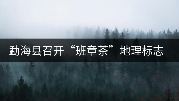 勐?？h召開“班章茶”地理標志認證評審會