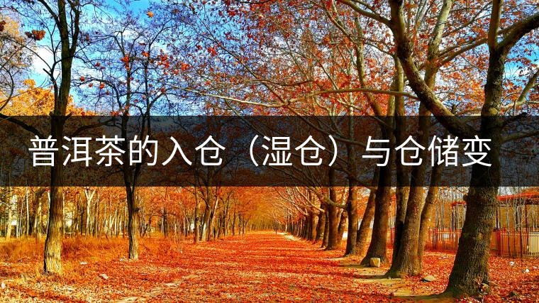 普洱茶的入倉（濕倉）與倉儲(chǔ)變化
