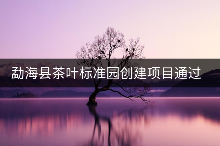 勐海縣茶葉標(biāo)準(zhǔn)園創(chuàng)建項(xiàng)目通過省級(jí)驗(yàn)收