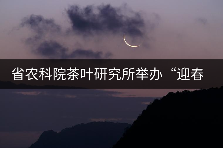 省農(nóng)科院茶葉研究所舉辦“迎春節(jié)、慶元旦”籃球聯(lián)誼賽