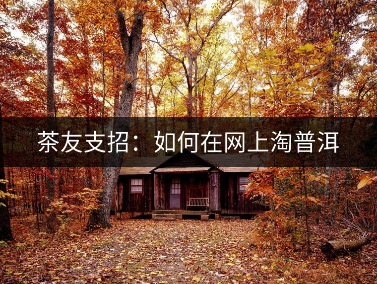 茶友支招:如何在網上淘普洱 茶友支招:如何在網上淘普洱