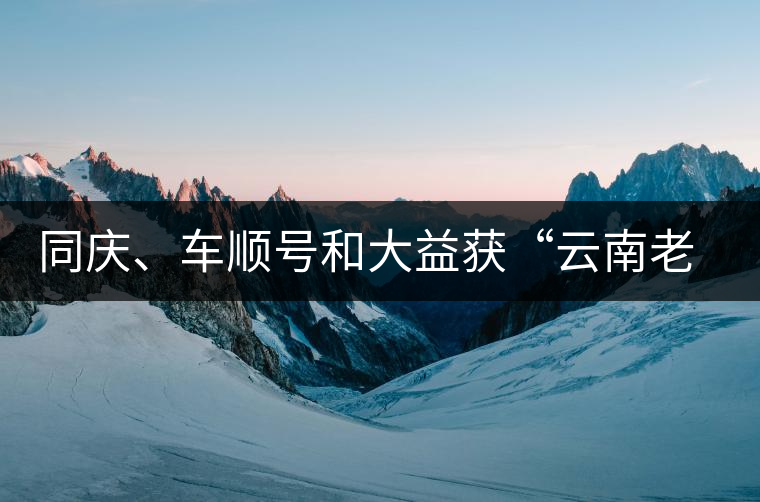 同慶、車順號和大益獲“云南老字號”稱號