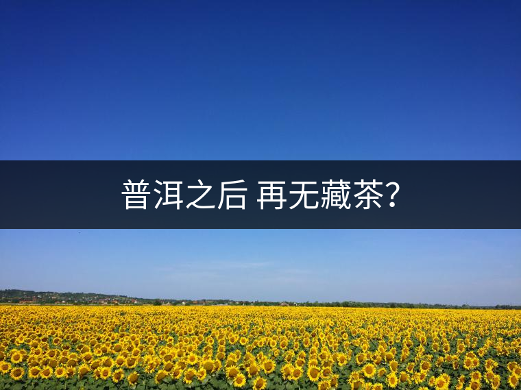 普洱之后 再無藏茶？