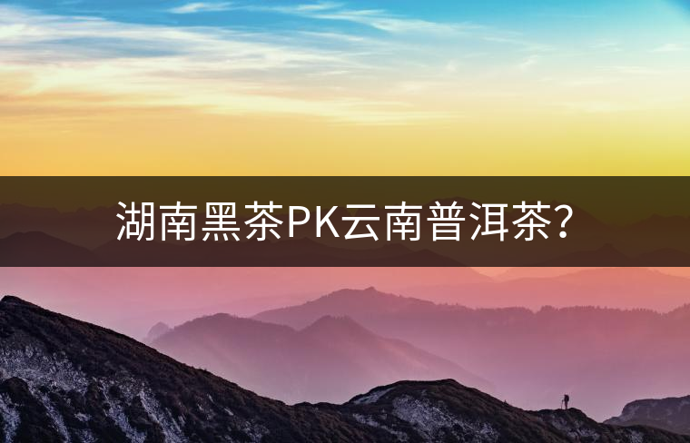 湖南黑茶PK云南普洱茶？
