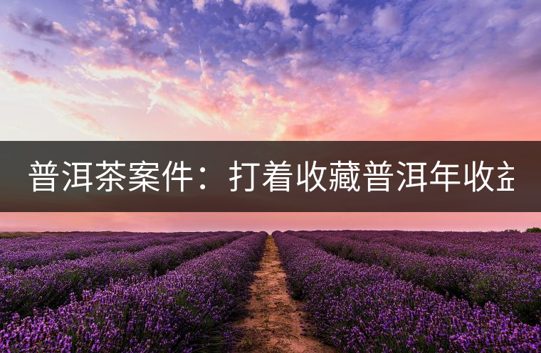 普洱茶案件：打著收藏普洱年收益不低于16%，非法吸收公眾存款