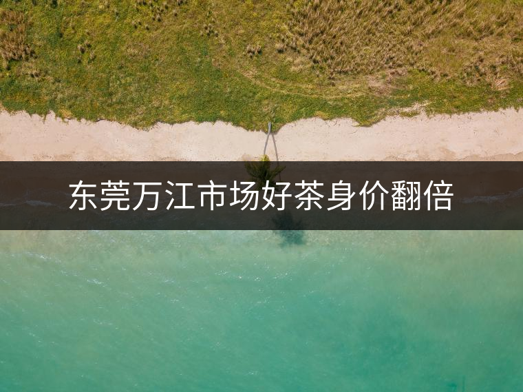 東莞萬江市場好茶身價(jià)翻倍 東莞萬江市場好茶身價(jià)翻倍