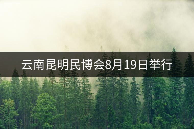 云南昆明民博會(huì)8月19日舉行 云南昆明民博會(huì)8月19日舉行