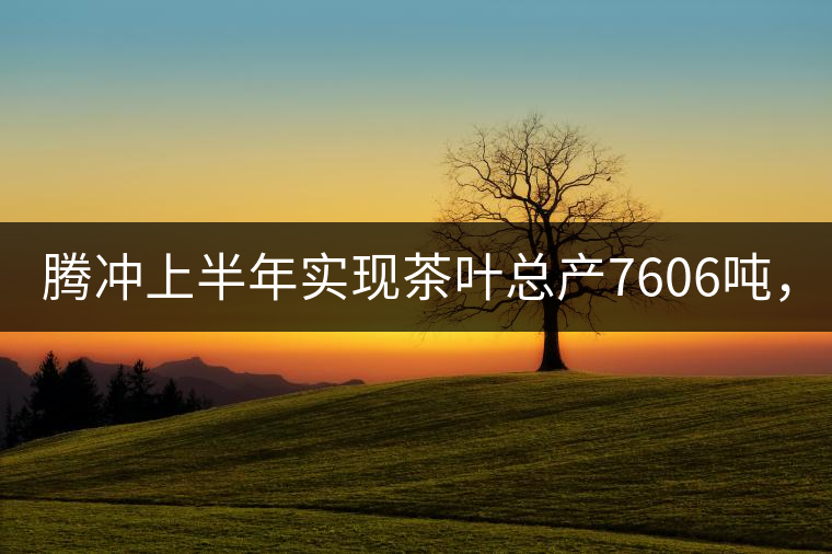 騰沖上半年實(shí)現(xiàn)茶葉總產(chǎn)7606噸，總產(chǎn)值5.58億元