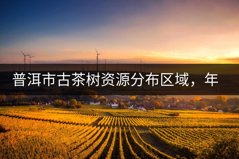 普洱市古茶樹資源分布區(qū)域，年產(chǎn)量多少?