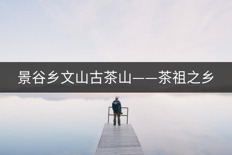 景谷鄉(xiāng)文山古茶山——茶祖之鄉(xiāng)