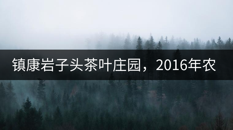 鎮(zhèn)康巖子頭茶葉莊園，2016年農(nóng)業(yè)產(chǎn)值達6000余萬元