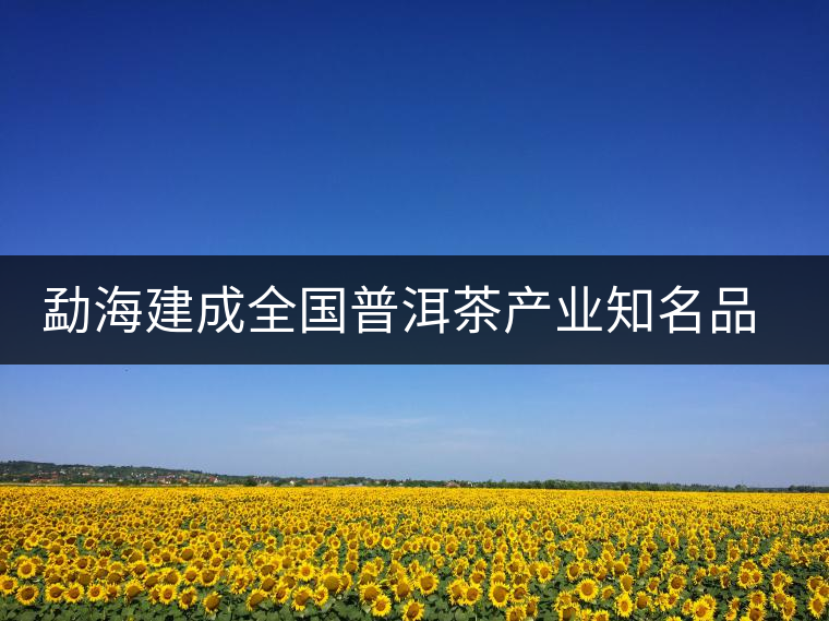 勐海建成全國(guó)普洱茶產(chǎn)業(yè)知名品牌創(chuàng)建示范區(qū)