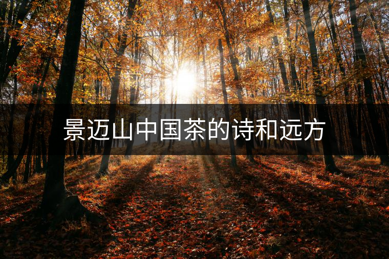 景邁山中國茶的詩和遠(yuǎn)方 景邁山中國茶的詩和遠(yuǎn)方