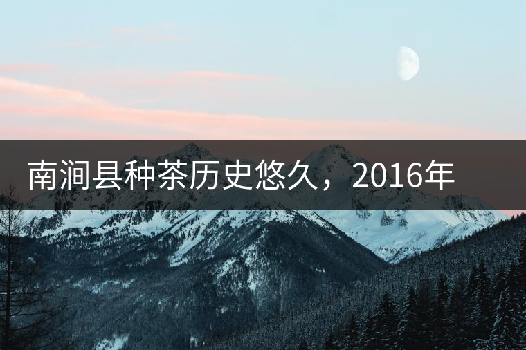 南澗縣種茶歷史悠久，2016年被評為全國十大生態(tài)產(chǎn)茶縣