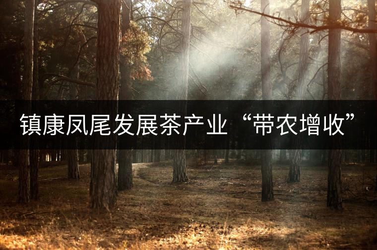 鎮(zhèn)康鳳尾發(fā)展茶產(chǎn)業(yè)“帶農(nóng)增收”，由2012年380萬元增長到1260萬元