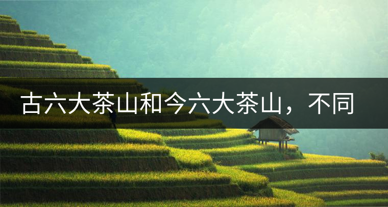 古六大茶山和今六大茶山，不同普洱茶品質(zhì)