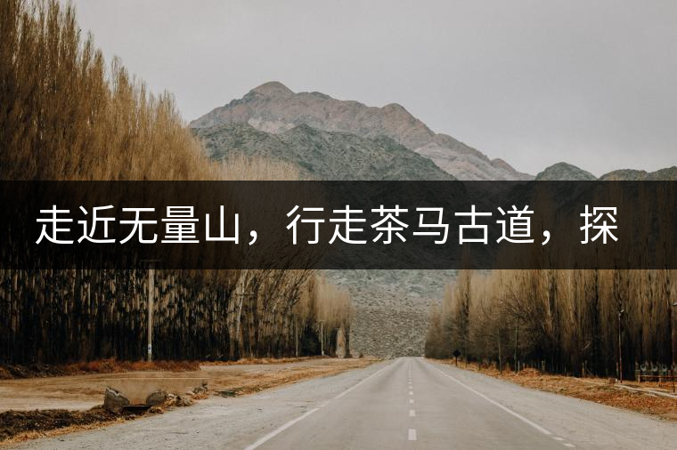 走近無量山，行走茶馬古道，探訪云南千年茶山