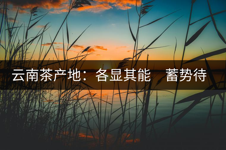 云南茶產(chǎn)地:各顯其能 蓄勢待發(fā) 云南茶產(chǎn)地:各顯其能 蓄勢待發(fā)