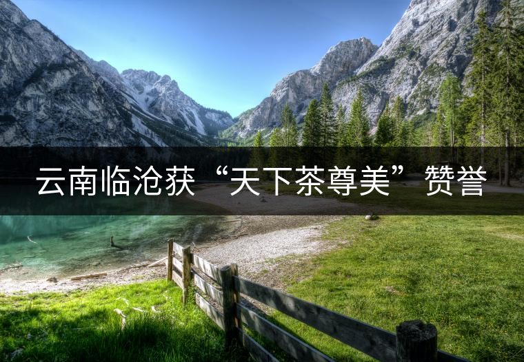 云南臨滄獲“天下茶尊美”贊譽 云南臨滄獲“天下茶尊美”贊譽