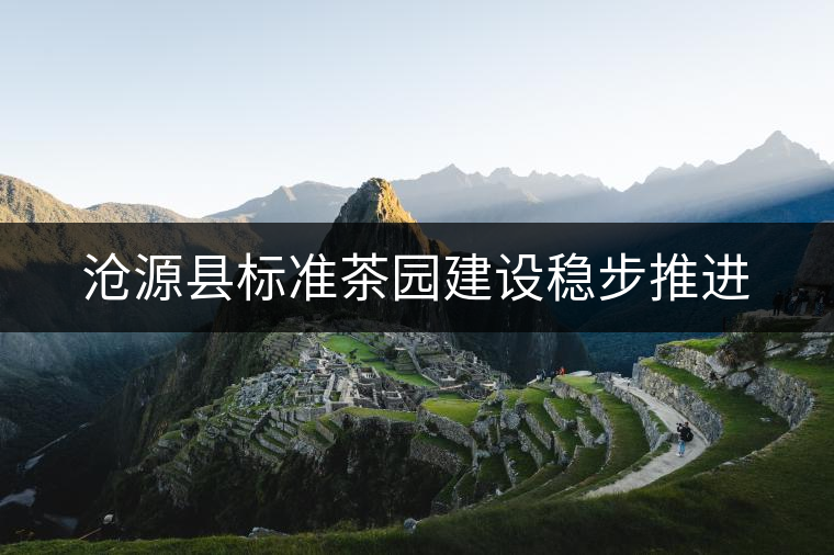 滄源縣標(biāo)準(zhǔn)茶園建設(shè)穩(wěn)步推進