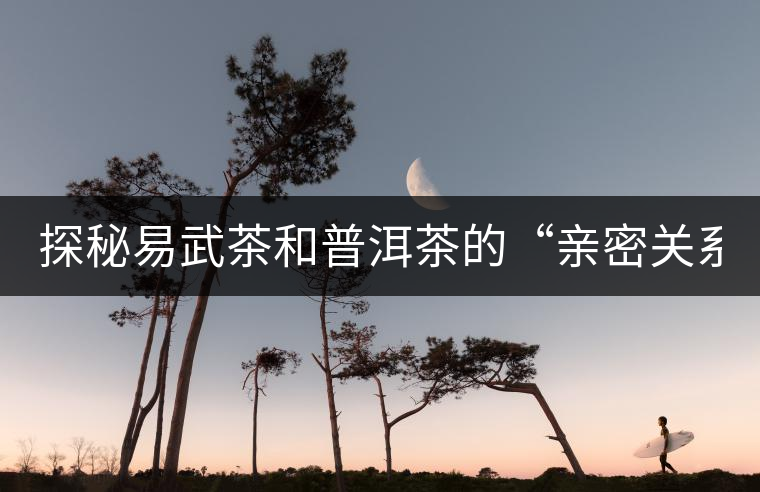 探秘易武茶和普洱茶的“親密關(guān)系”