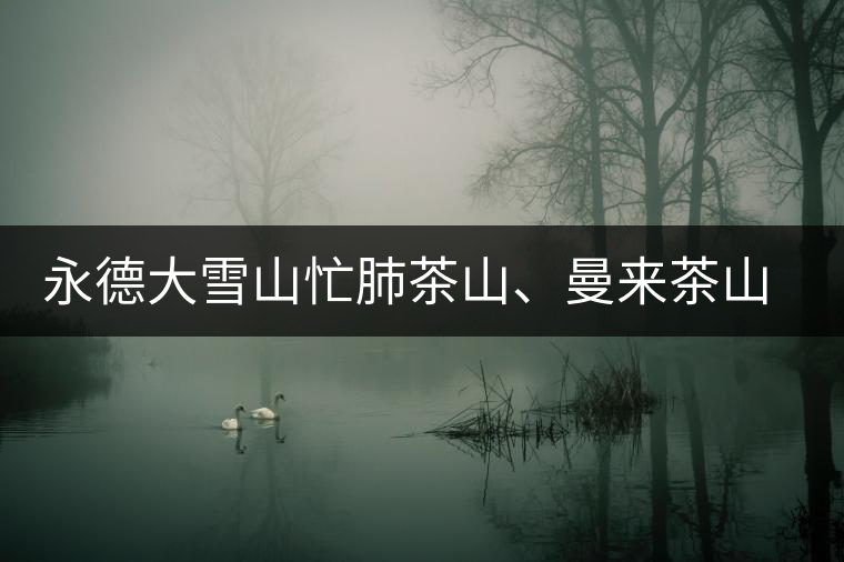 永德大雪山忙肺茶山、曼來茶山、放牛場茶園的生態(tài)指數(shù)