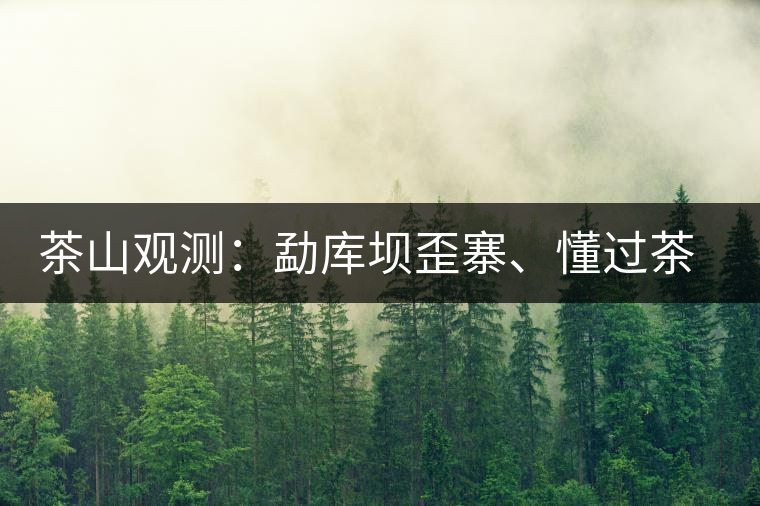 茶山觀測：勐庫壩歪寨、懂過茶山、大戶寨等茶山的生態(tài)指數(shù)