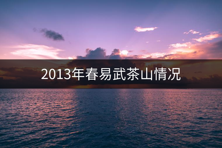 2013年春易武茶山情況