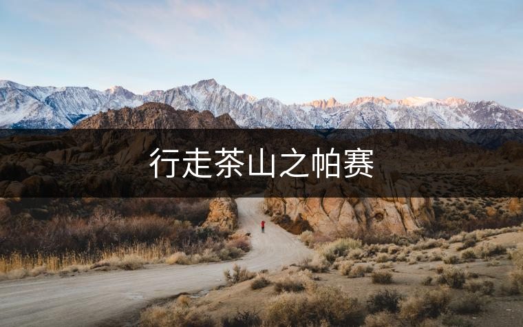 行走茶山之帕賽 行走茶山之帕賽