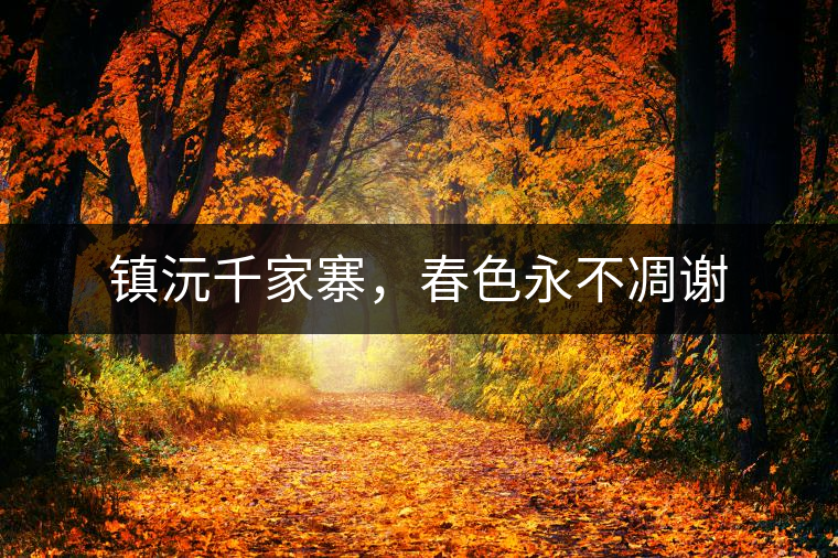 鎮(zhèn)沅千家寨，春色永不凋謝