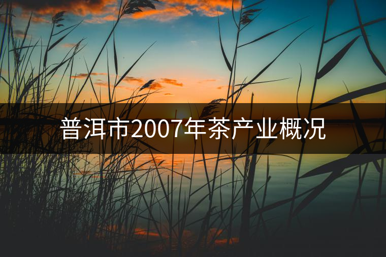普洱市2007年茶產(chǎn)業(yè)概況
