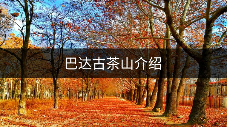 巴達古茶山介紹