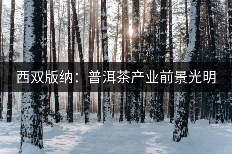 西雙版納：普洱茶產業(yè)前景光明