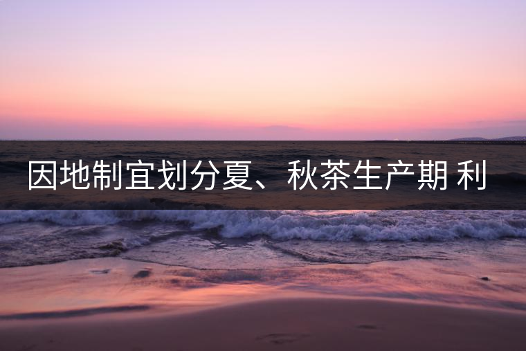 因地制宜劃分夏、秋茶生產(chǎn)期 利于采摘品質(zhì)