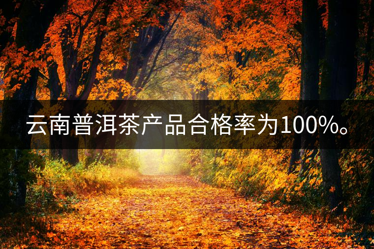 云南普洱茶產(chǎn)品合格率為100%。
