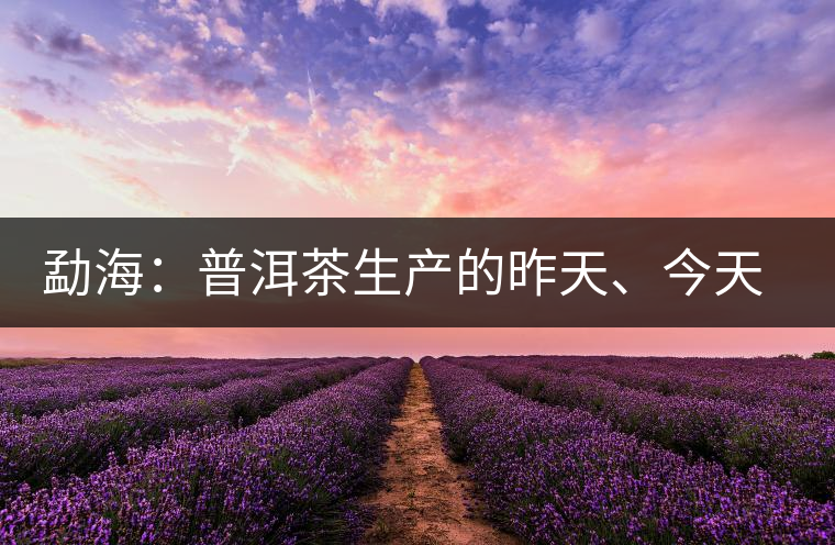 勐海：普洱茶生產(chǎn)的昨天、今天、明天