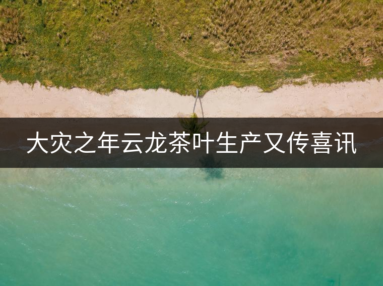大災(zāi)之年云龍茶葉生產(chǎn)又傳喜訊