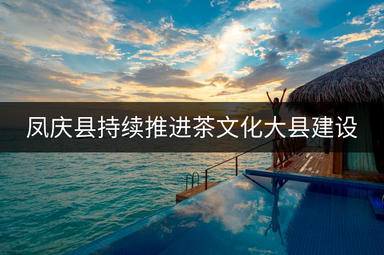 鳳慶縣持續(xù)推進茶文化大縣建設(shè)