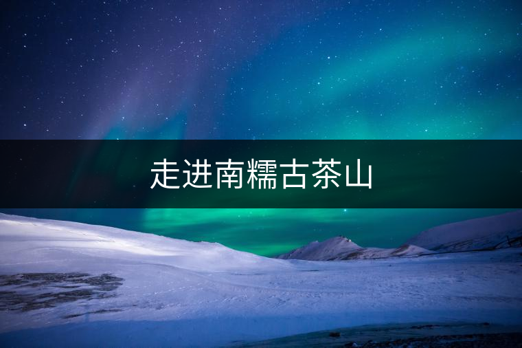 走進南糯古茶山 走進南糯古茶山